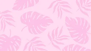 2560x1440 Summer Plants Pink Aesthetic Wallpaper