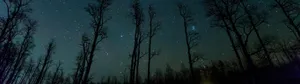 2732 X 768 Forest Sky Stars Wallpaper