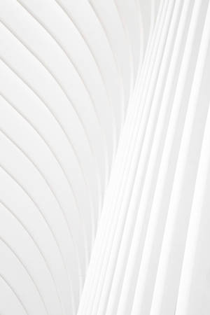 3d All White Lines Wallpaper