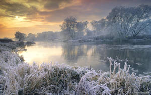 3d Desktop Lake And White Trees Wallpaper