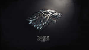 3d Silver House Stark Logo Wallpaper