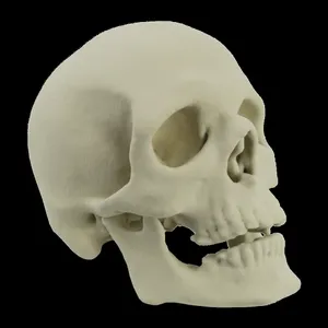 3d Skull Artwork Wallpaper