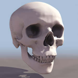 3d Skull On Abstract Background Wallpaper