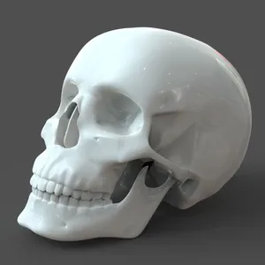 3d Skull With Intricate Detailing Wallpaper