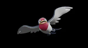 3d Taillow Flying Black Art Wallpaper