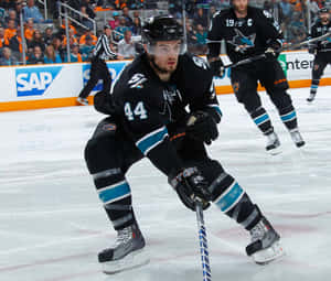 # 44 Sharks Player Marc Edouard Vlasic Wallpaper