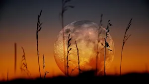 4d Ultra Hd Moon Wallpaper