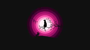 4d Ultra Hd Pink Cat Tunnel Wallpaper