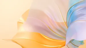 4d Ultra Hd Translucent Petals Wallpaper