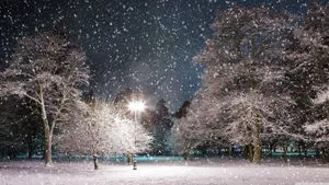 4k 16:9 Winter Snow Falling Wallpaper