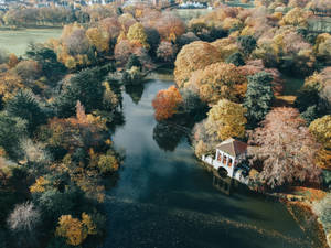 4k Autumn Birkenhead Park Wallpaper