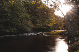 4k Autumn Trees Near River Wallpaper