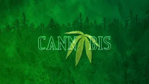 4k Cannabis Marijuana Wallpaper
