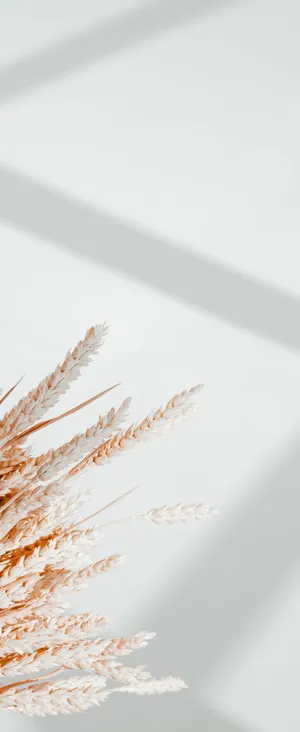 4k City Scape Shot From A Drone Wallpaper