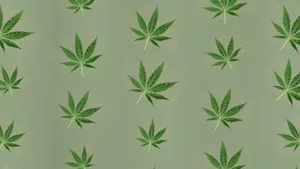 4k Green Marijuana Wallpaper