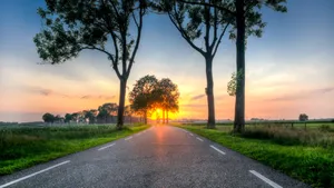 4k Hdmi Cable On A Vivid Colored Background Wallpaper