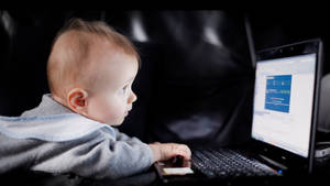 4k Laptop Baby By Himself Wallpaper