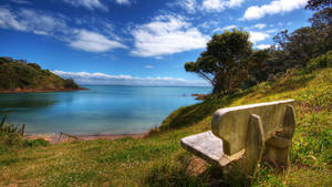 4k Nature Bench Wallpaper