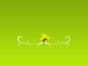 4k Nature Green Background Wallpaper