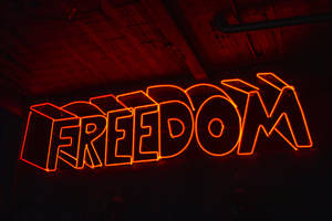 4k Neon Freedom Wallpaper