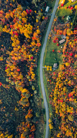 4k New York Road Aerial View Wallpaper