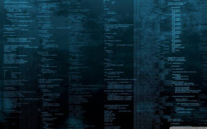 4k Programming Blue Screen Wallpaper
