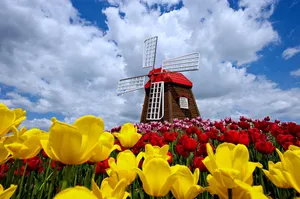 4k Spring Windmills Flowers Wallpaper