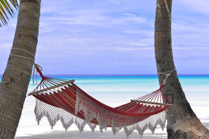 4k Ultra Hd Beach Hammock Wallpaper