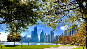 4k Ultra Hd Chicago City Nature Wallpaper