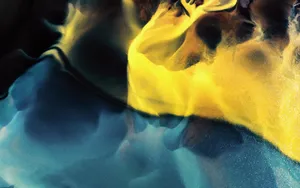 4k Ultra Hd Hdmi Connection Wallpaper