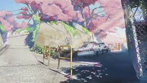 5 Centimeters Per Second Intro Scene Wallpaper