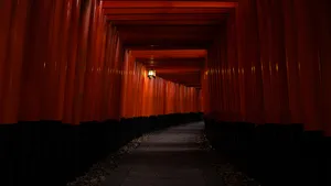 5k Hd Fushimi Inari Taisha Shrine Wallpaper