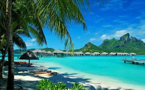 A Beach With Palm Trees And A Beach Hut Wallpaper
