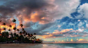 A Beach With Palm Trees And Clouds In The Sky Wallpaper