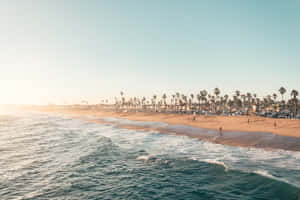 A Beach With Palm Trees And People On It Wallpaper