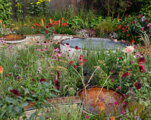 A Beautiful And Lush Herb Garden Wallpaper