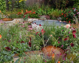 A Beautiful And Lush Herb Garden Wallpaper