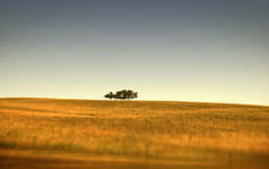 A Beautiful And Vibrant Summer Landscape Wallpaper