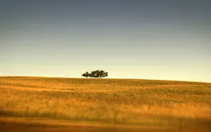 A Beautiful And Vibrant Summer Landscape Wallpaper