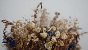 A Beautiful Assortment Of Dried Flowers On A Wooden Surface Wallpaper