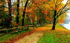 A Beautiful Autumn Scenery Wallpaper