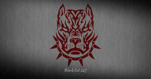 A Beautiful Black Pitbull Ready To Play! Wallpaper