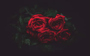 A Beautiful Bouquet Of Roses For A Memorable Valentine's Day Celebration Wallpaper