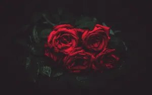 A Beautiful Bouquet Of Roses For A Memorable Valentine's Day Celebration Wallpaper