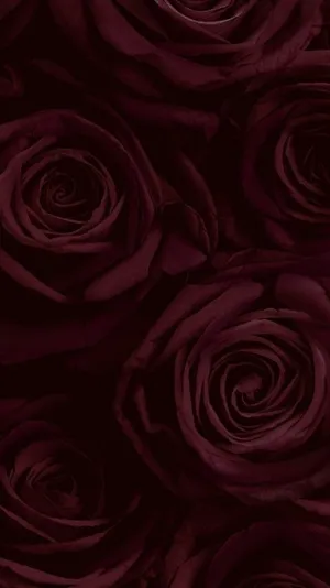 A Beautiful Burgundy Flower Standing Out Against A White Background Wallpaper