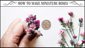 A Beautiful Collection Of Miniature Roses Wallpaper