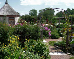 A Beautiful Cottage Garden In Full Bloom Wallpaper
