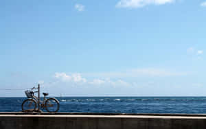 A Beautiful Day For A Beach Cruiser Ride Wallpaper