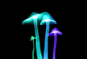 A Beautiful Display Of Glowing Mushroom Lights. Wallpaper