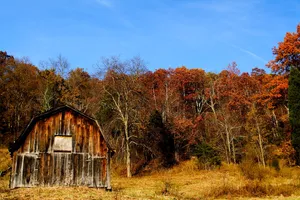 A Beautiful Fall Barn Surrounded By Autumn Foliage Wallpaper